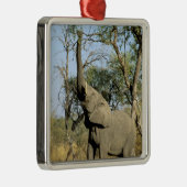 Afrika, Botswana, Okavango Delta. Afrikaanse 2 Metalen Ornament (Rechts)