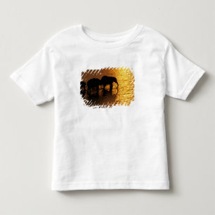 Afrika, Botswana, Okavango Delta. Afrikaanse Kinder Shirts
