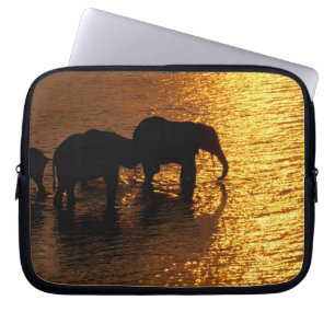 Afrika, Botswana, Okavango Delta. Afrikaanse Laptop Sleeve