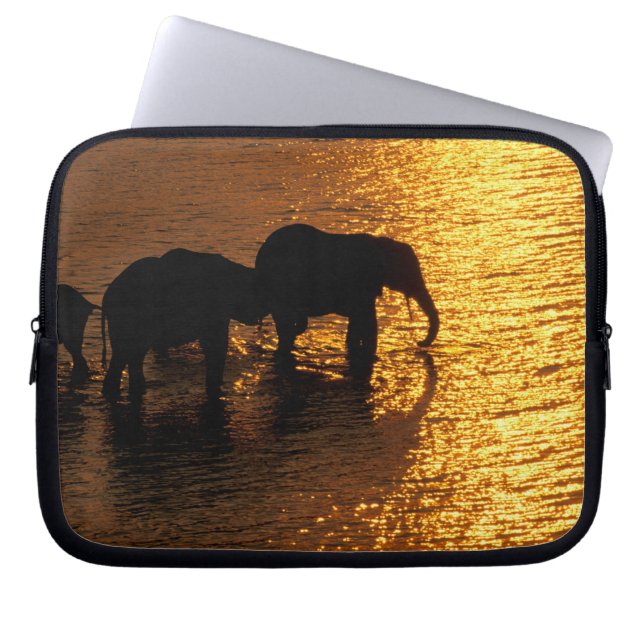 Afrika, Botswana, Okavango Delta. Afrikaanse Laptop Sleeve (Voorkant)