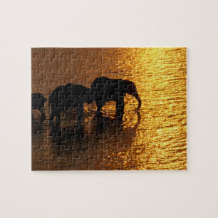 Afrika, Botswana, Okavango Delta. Afrikaanse Legpuzzel