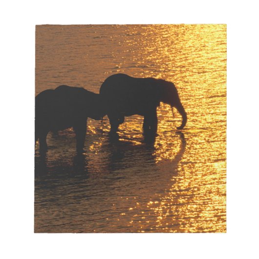 Afrika, Botswana, Okavango Delta. Afrikaanse Notitieblok (Voorkant)
