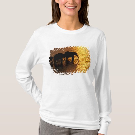 Afrika, Botswana, Okavango Delta. Afrikaanse T-shirt (Voorkant)