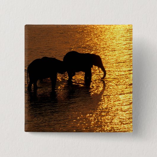 Afrika, Botswana, Okavango Delta. Afrikaanse Vierkante Button 5,1 Cm (Voorkant)