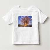 Afrika, Botswana, Okavango Delta. Baobab Kinder Shirts (Voorkant)