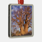 Afrika, Botswana, Okavango Delta. Baobab Metalen Ornament (Rechts)