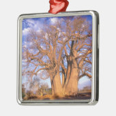 Afrika, Botswana, Okavango Delta. Baobab Metalen Ornament (Links)