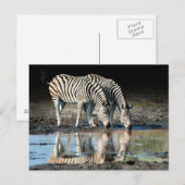 Afrika, Botswana, Okavango Delta, Davison Camp Briefkaart (Voorkant / Achterkant)