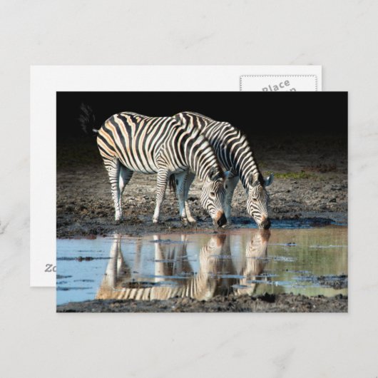 Afrika, Botswana, Okavango Delta, Davison Camp Briefkaart (Voorkant / Achterkant)