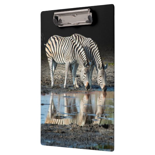 Afrika, Botswana, Okavango Delta, Davison Camp Klembord (Links)