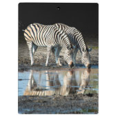 Afrika, Botswana, Okavango Delta, Davison Camp Klembord (Achterkant)