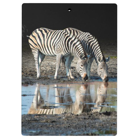 Afrika, Botswana, Okavango Delta, Davison Camp Klembord (Achterkant)