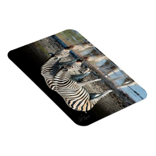 Afrika, Botswana, Okavango Delta, Davison Camp Magneet (Rechterzijde)