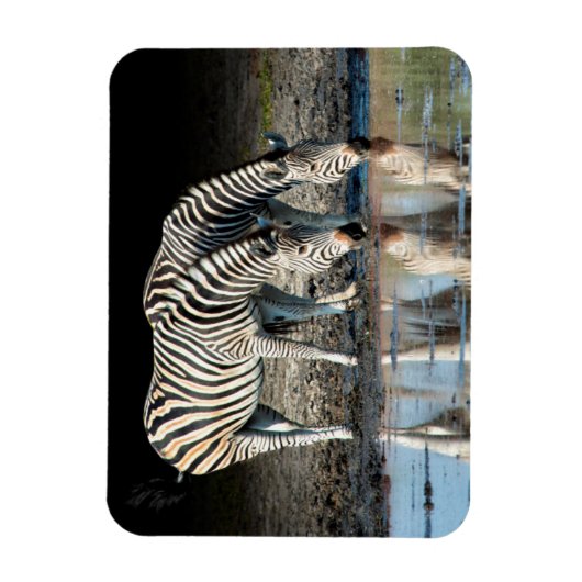 Afrika, Botswana, Okavango Delta, Davison Camp Magneet (Verticaal)