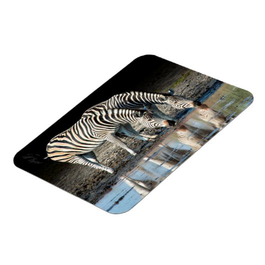 Afrika, Botswana, Okavango Delta, Davison Camp Magneet (Linkerzijde)