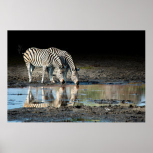 Afrika,Botswana, Okavango Delta, Davison Camp Poster