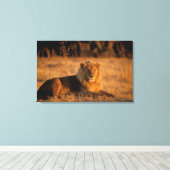 Afrika, Botswana, Okavango Delta. Leeuw (Panthera Canvas Afdruk (Insitu (Houten vloer))
