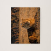 Afrika, Botswana, Okavango Delta. Leeuw (Panthera Legpuzzel (Verticaal)