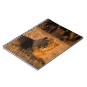 Afrika, Botswana, Okavango Delta. Leeuw (Panthera Notitieboek (Linkerzijde)