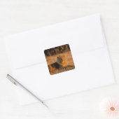 Afrika, Botswana, Okavango Delta. Leeuw (Panthera Vierkante Sticker (Envelop)