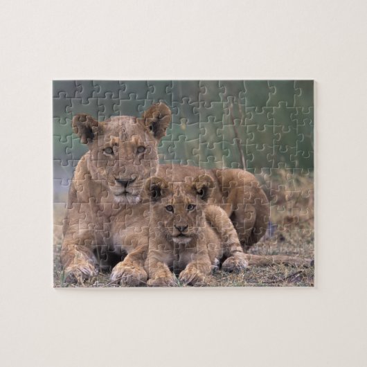 Afrika, Botswana, Okavango Delta. Leeuwen Legpuzzel (Horizontaal)