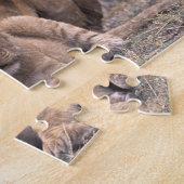 Afrika, Botswana, Okavango Delta. Leeuwen Legpuzzel (Zijkant)