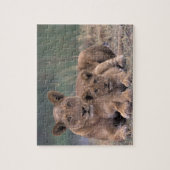 Afrika, Botswana, Okavango Delta. Leeuwen Legpuzzel (Verticaal)