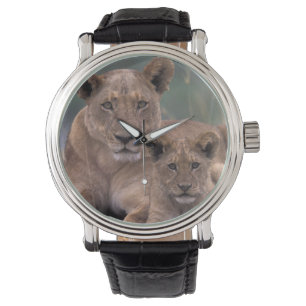 Afrika, Botswana, Okavango Delta. Lion Horloge