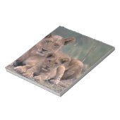 Afrika, Botswana, Okavango Delta. Lion Notitieblok (Linkerzijde)