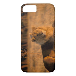 Afrika, Botswana, Okavango Delta. Lion (Panthera) Case-Mate iPhone Case