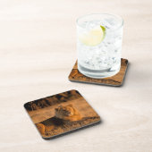 Afrika, Botswana, Okavango Delta. Lion (Panthera) Drankjes Onderzetter (Rechterzijde)