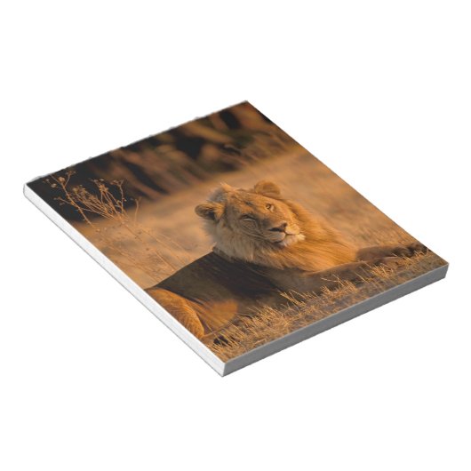 Afrika, Botswana, Okavango Delta. Lion (Panthera) Notitieblok (Schuin)