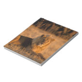 Afrika, Botswana, Okavango Delta. Lion (Panthera) Notitieblok (Linkerzijde)