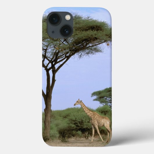 Afrika, Botswana, Okavango Delta. Zuidelijk Case-Mate iPhone Case (Achterkant)