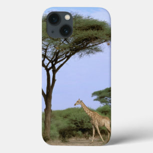 Afrika, Botswana, Okavango Delta. Zuidelijk Case-Mate iPhone Case