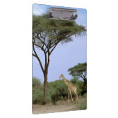 Afrika, Botswana, Okavango Delta. Zuidelijk Klembord (Rechts)