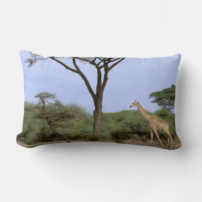 Afrika, Botswana, Okavango Delta. Zuidelijk Kussen (Voorkant)