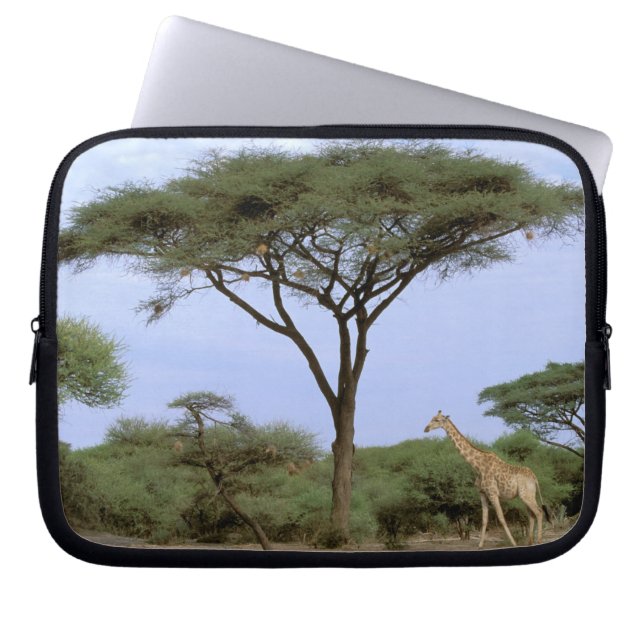 Afrika, Botswana, Okavango Delta. Zuidelijk Laptop Sleeve (Voorkant)