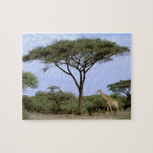 Afrika, Botswana, Okavango Delta. Zuidelijk Legpuzzel (Horizontaal)