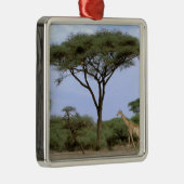 Afrika, Botswana, Okavango Delta. Zuidelijk Metalen Ornament (Rechts)