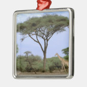 Afrika, Botswana, Okavango Delta. Zuidelijk Metalen Ornament (Links)