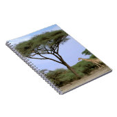 Afrika, Botswana, Okavango Delta. Zuidelijk Notitieboek (Rechterzijde)