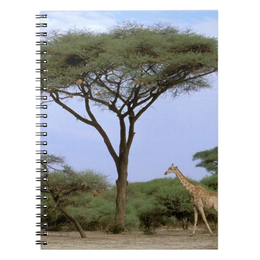 Afrika, Botswana, Okavango Delta. Zuidelijk Notitieboek (Voorkant)