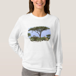 Afrika, Botswana, Okavango Delta. Zuidelijk T-shirt