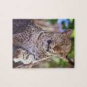 Afrika, Botswana, Okvango Delta, wilde luipaard. 2 Legpuzzel (Horizontaal)