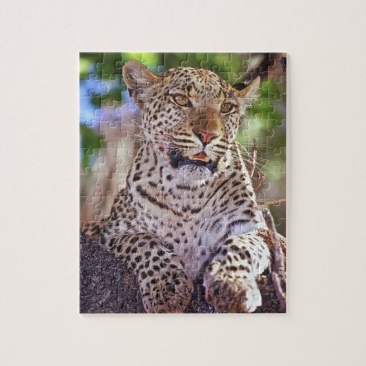 Afrika, Botswana, Okvango Delta, wilde luipaard. 2 Legpuzzel (Verticaal)