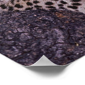 Afrika, Botswana, Okvango Delta, wilde luipaard. 2 Poster (Hoek)