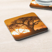 Afrika, Botswana, Ondergaande zon schetst Baobab i Bier Onderzetter (Linkerzijde)