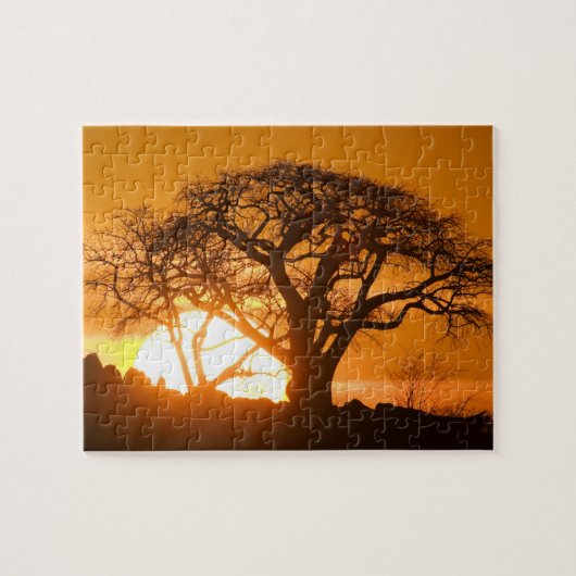 Afrika, Botswana, Ondergaande zon schetst Baobab i Legpuzzel (Horizontaal)