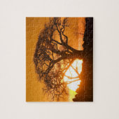 Afrika, Botswana, Ondergaande zon schetst Baobab i Legpuzzel (Verticaal)